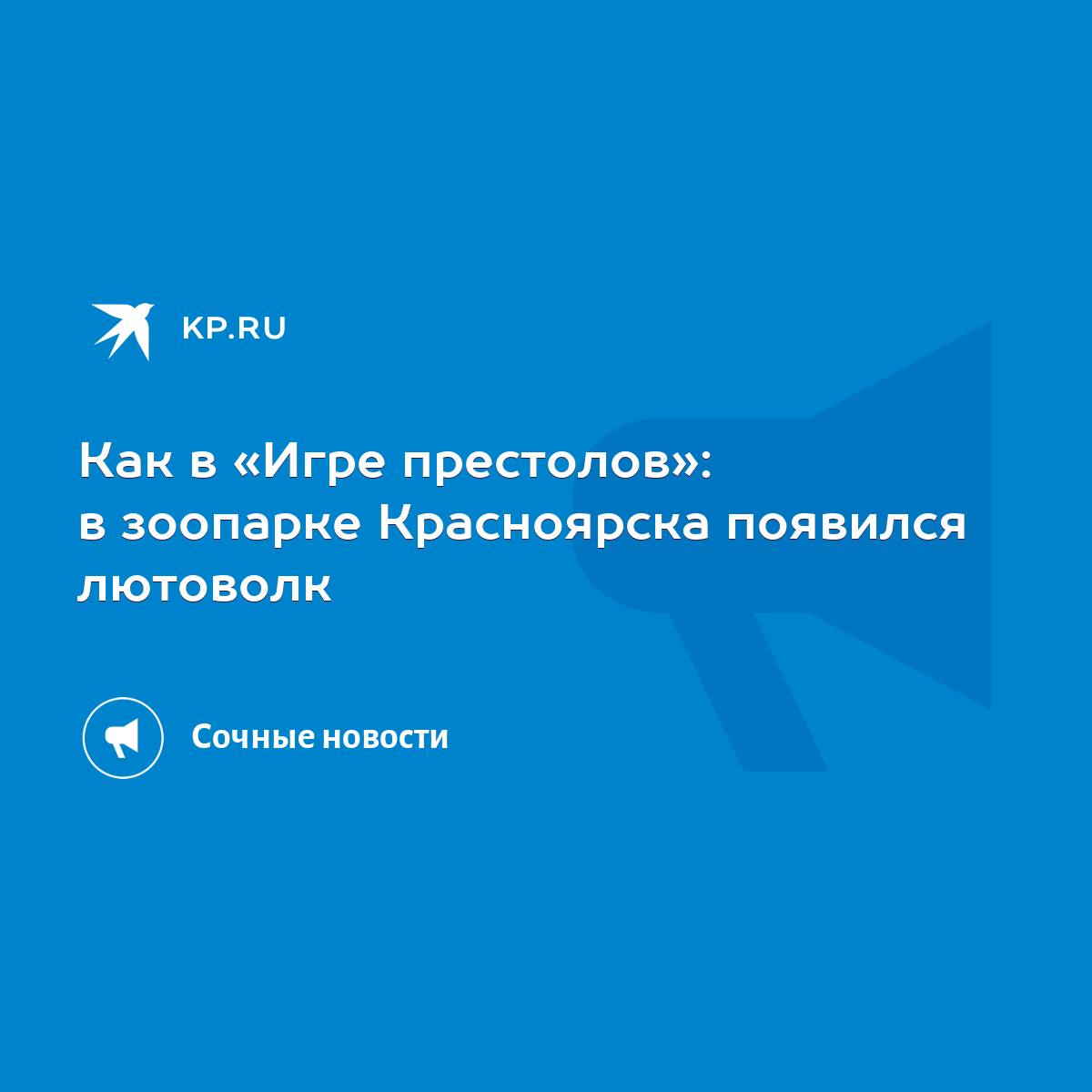 Как в «Игре престолов»: в зоопарке Красноярска появился лютоволк - KP.RU