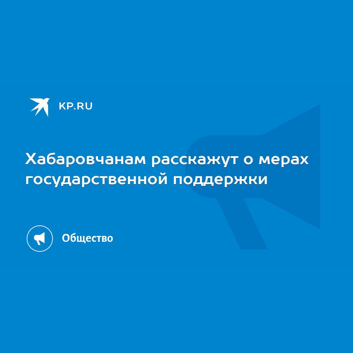 Хабаровчанам расскажут о мерах государственной поддержки - KP.RU