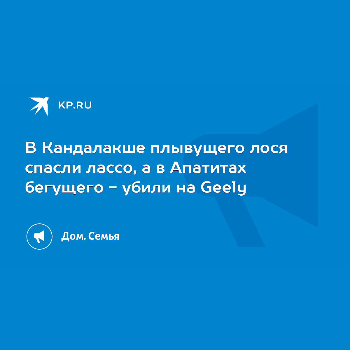 В Кандалакше плывущего лося спасли лассо, а в Апатитах бегущего - убили на  Geely - KP.RU