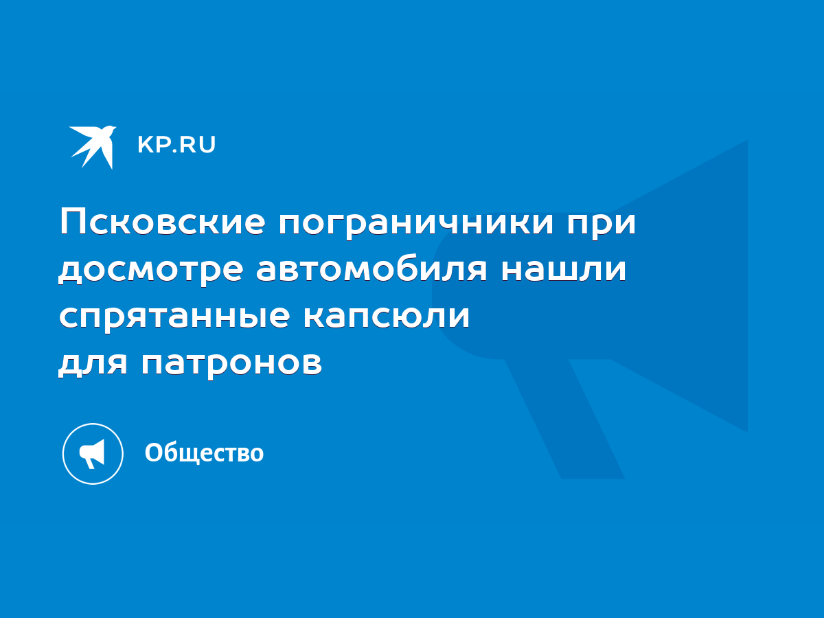 Псковские пограничники при досмотре автомобиля нашли спрятанные капсюли для  патронов - KP.RU