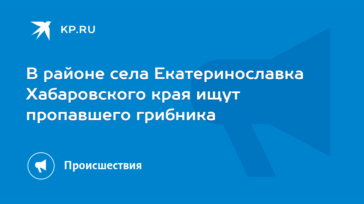 В районе села Екатеринославка Хабаровского края ищут пропавшего грибника -  KP.RU