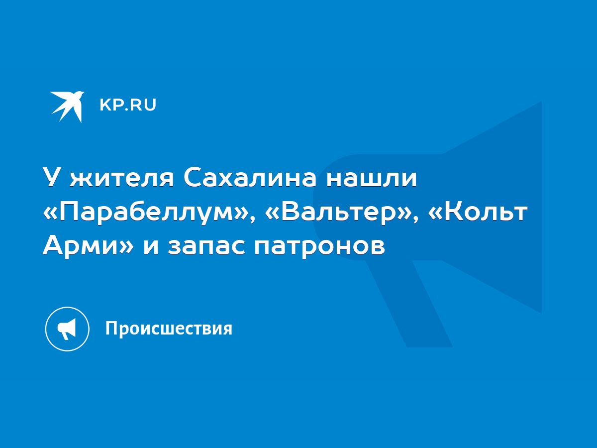 У жителя Сахалина нашли «Парабеллум», «Вальтер», «Кольт Арми» и запас  патронов - KP.RU