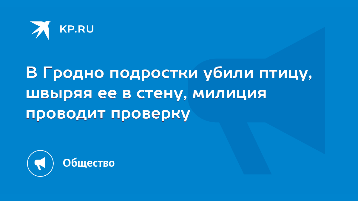 В Гродно подростки убили птицу, швыряя ее в стену, милиция проводит  проверку - KP.RU