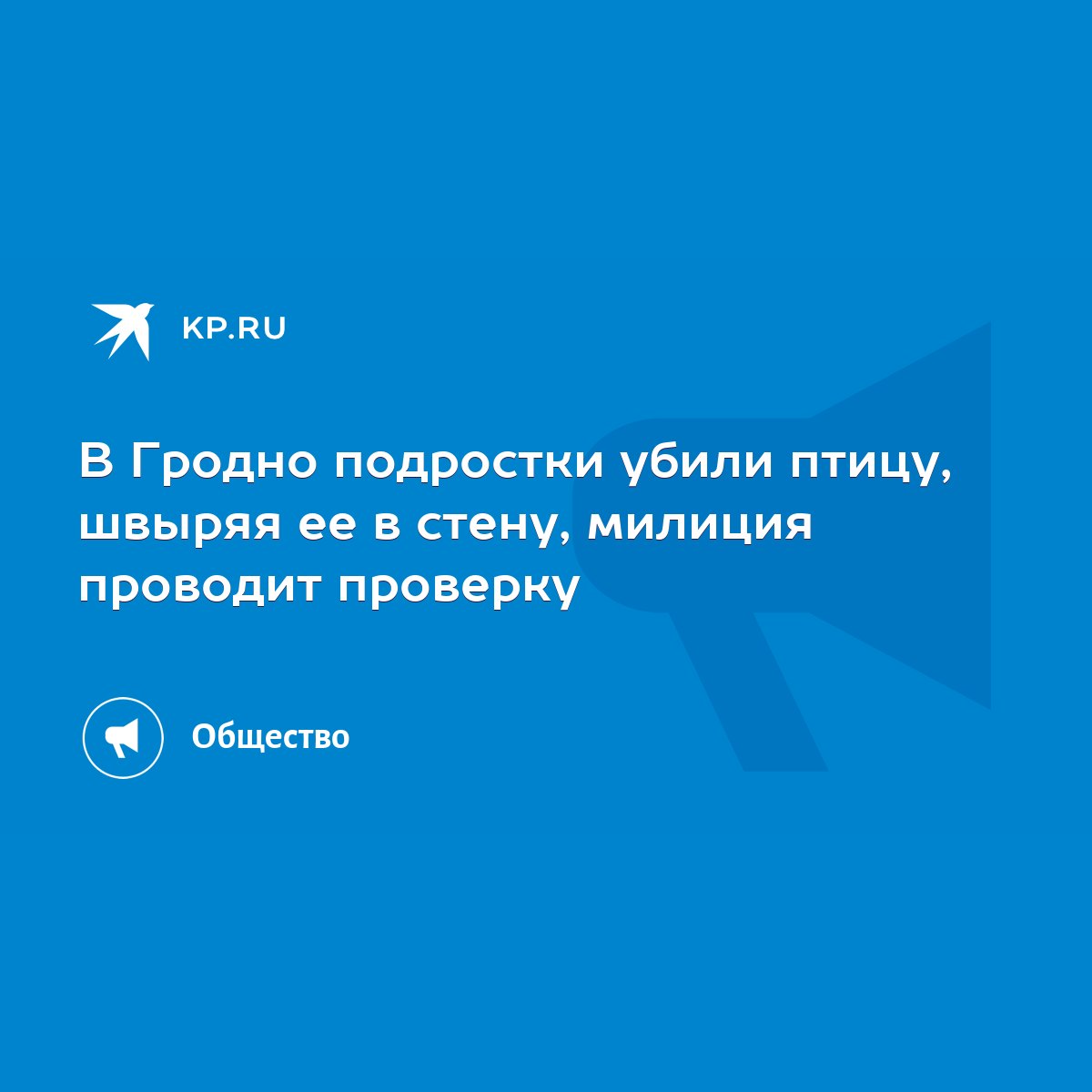 В Гродно подростки убили птицу, швыряя ее в стену, милиция проводит  проверку - KP.RU