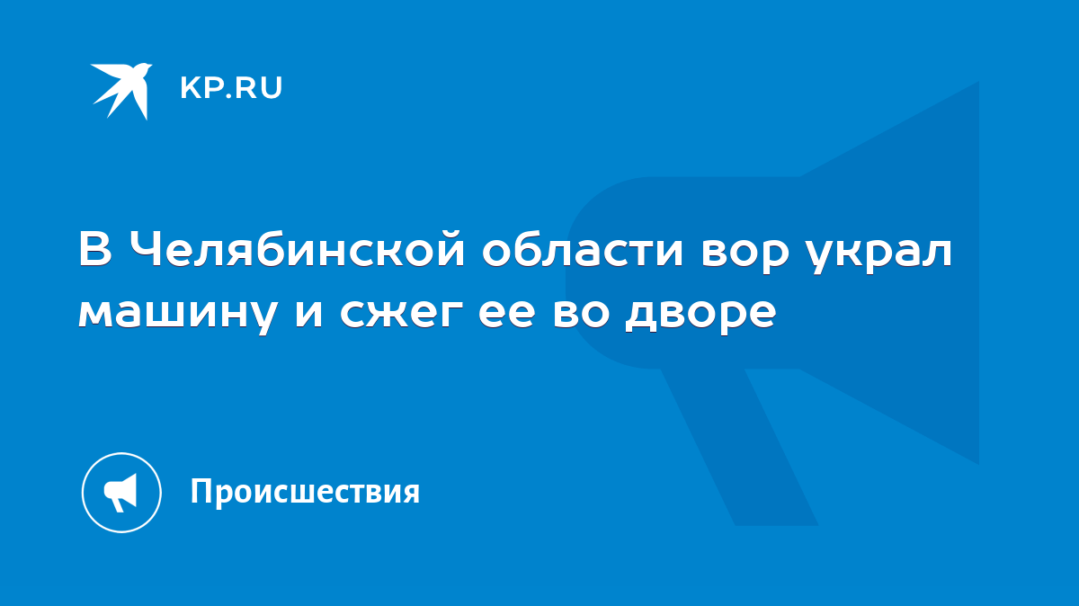 В Челябинской области вор украл машину и сжег ее во дворе - KP.RU