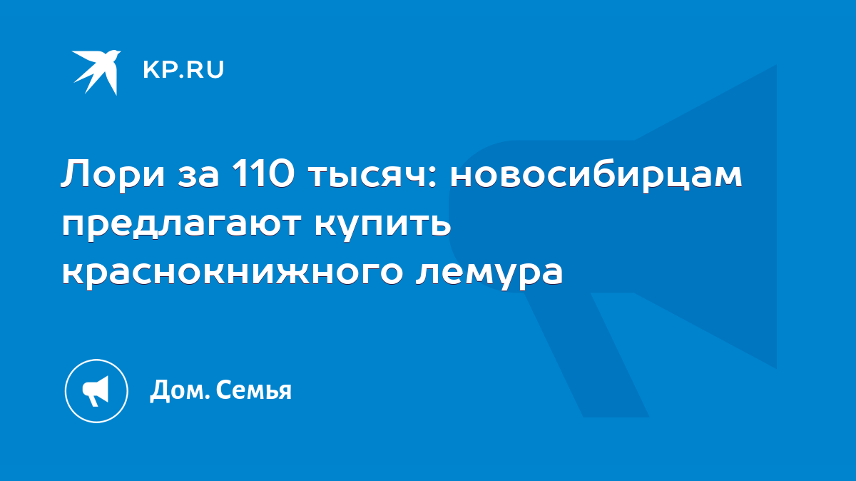 Лори за 110 тысяч: новосибирцам предлагают купить краснокнижного лемура -  KP.RU