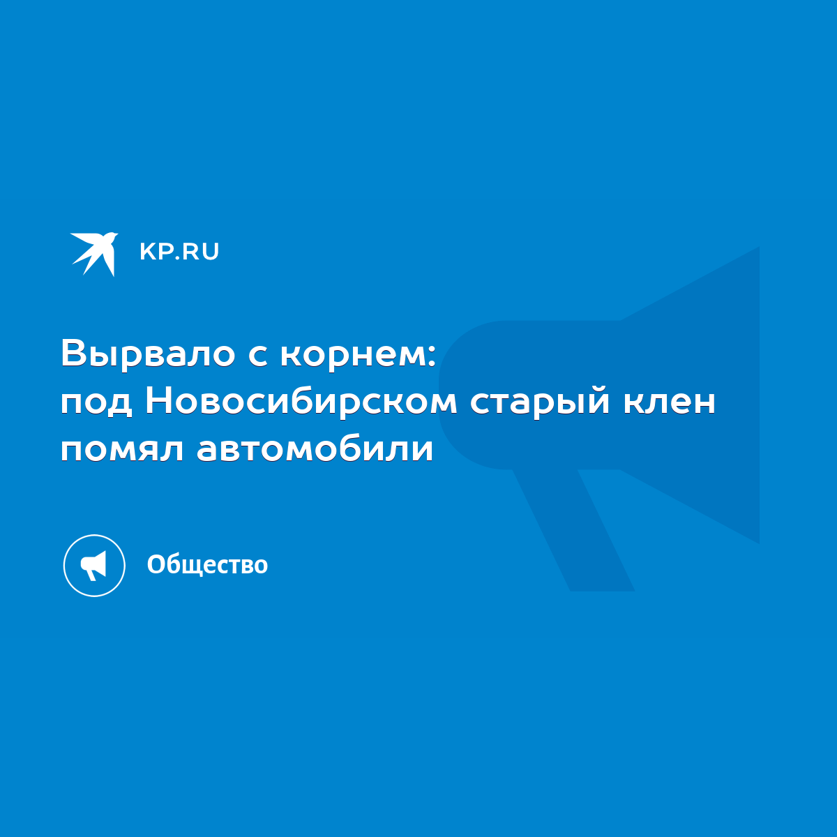 Вырвало с корнем: под Новосибирском старый клен помял автомобили - KP.RU