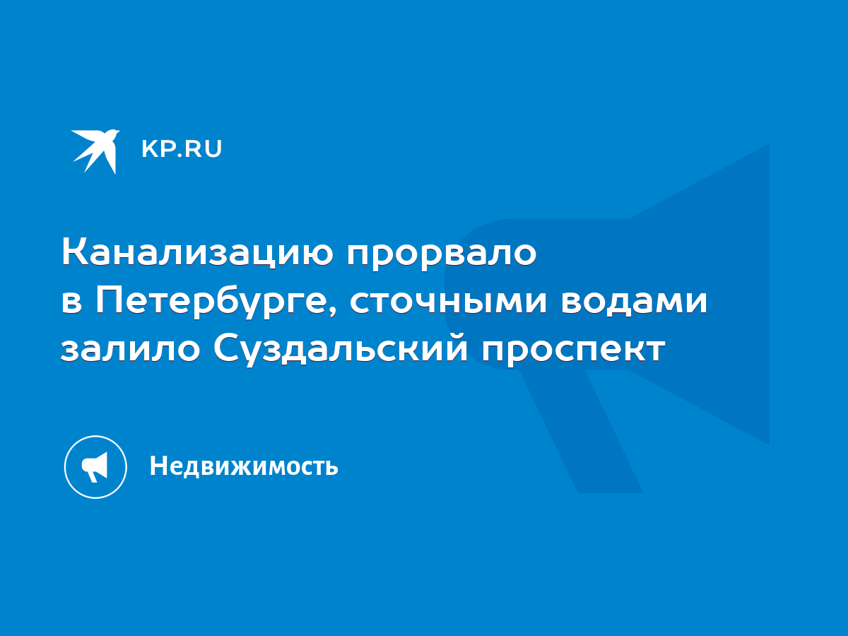 Канализацию прорвало в Петербурге, сточными водами залило Суздальский  проспект - KP.RU