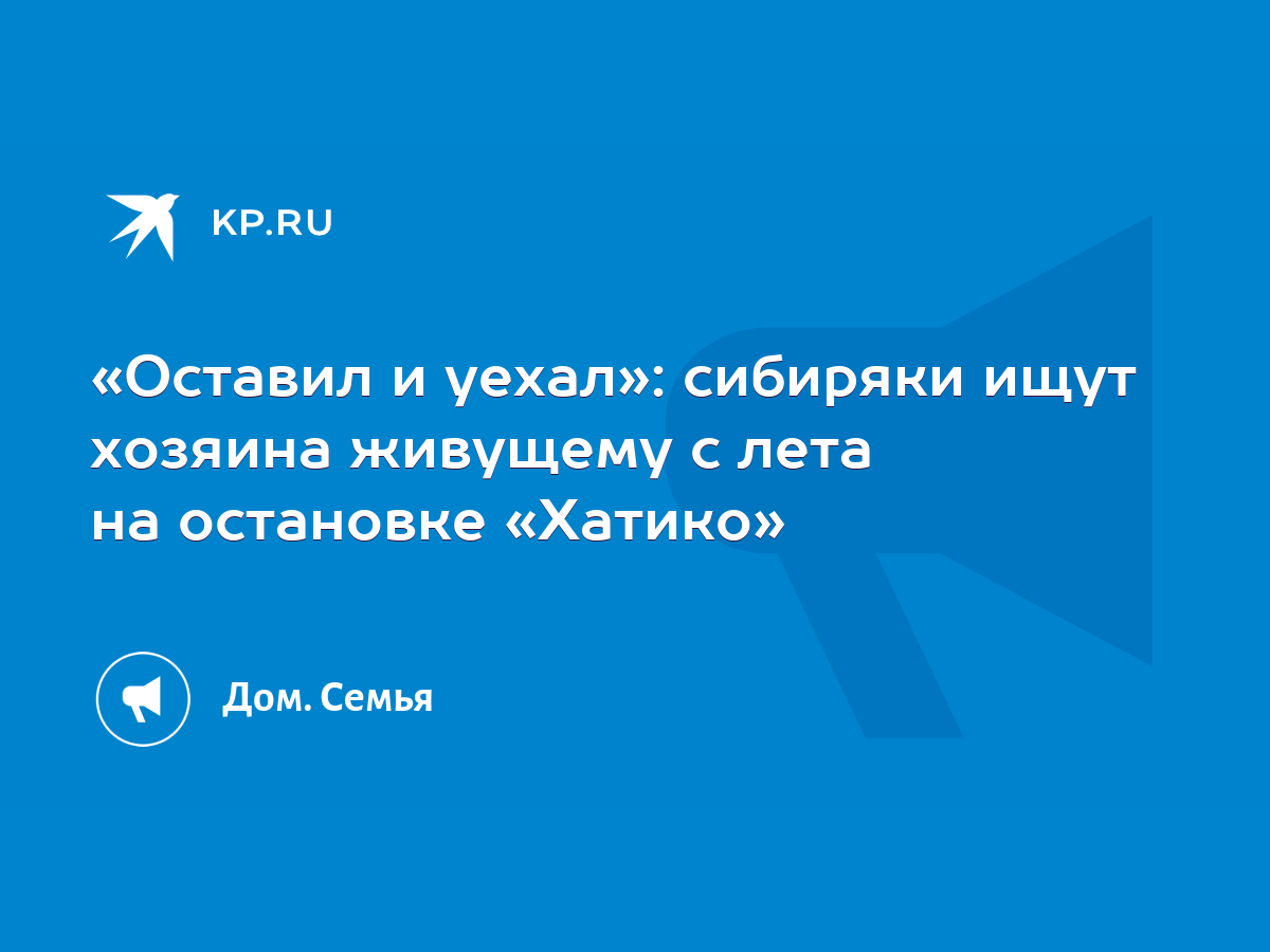 Оставил и уехал»: сибиряки ищут хозяина живущему с лета на остановке  «Хатико» - KP.RU