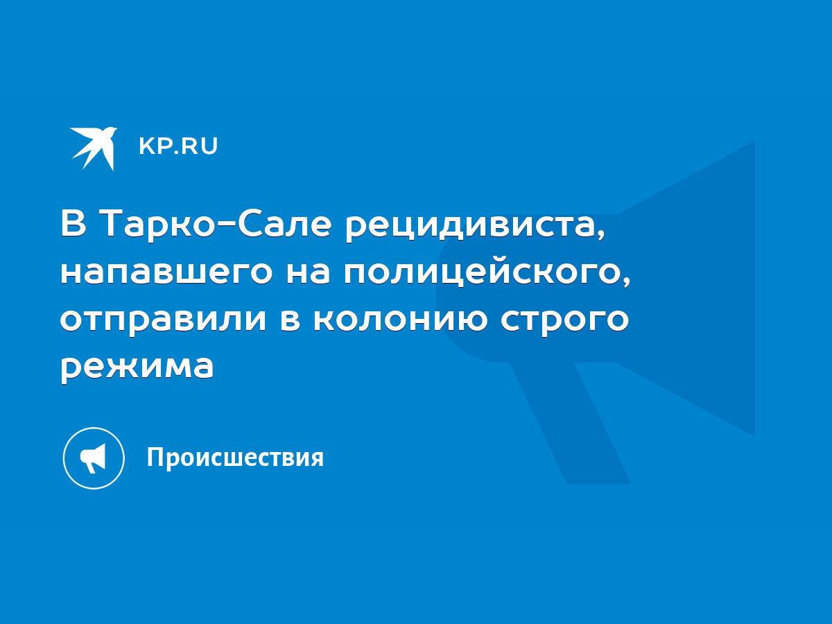 В Тарко-Сале рецидивиста, напавшего на полицейского, отправили в колонию  строго режима - KP.RU