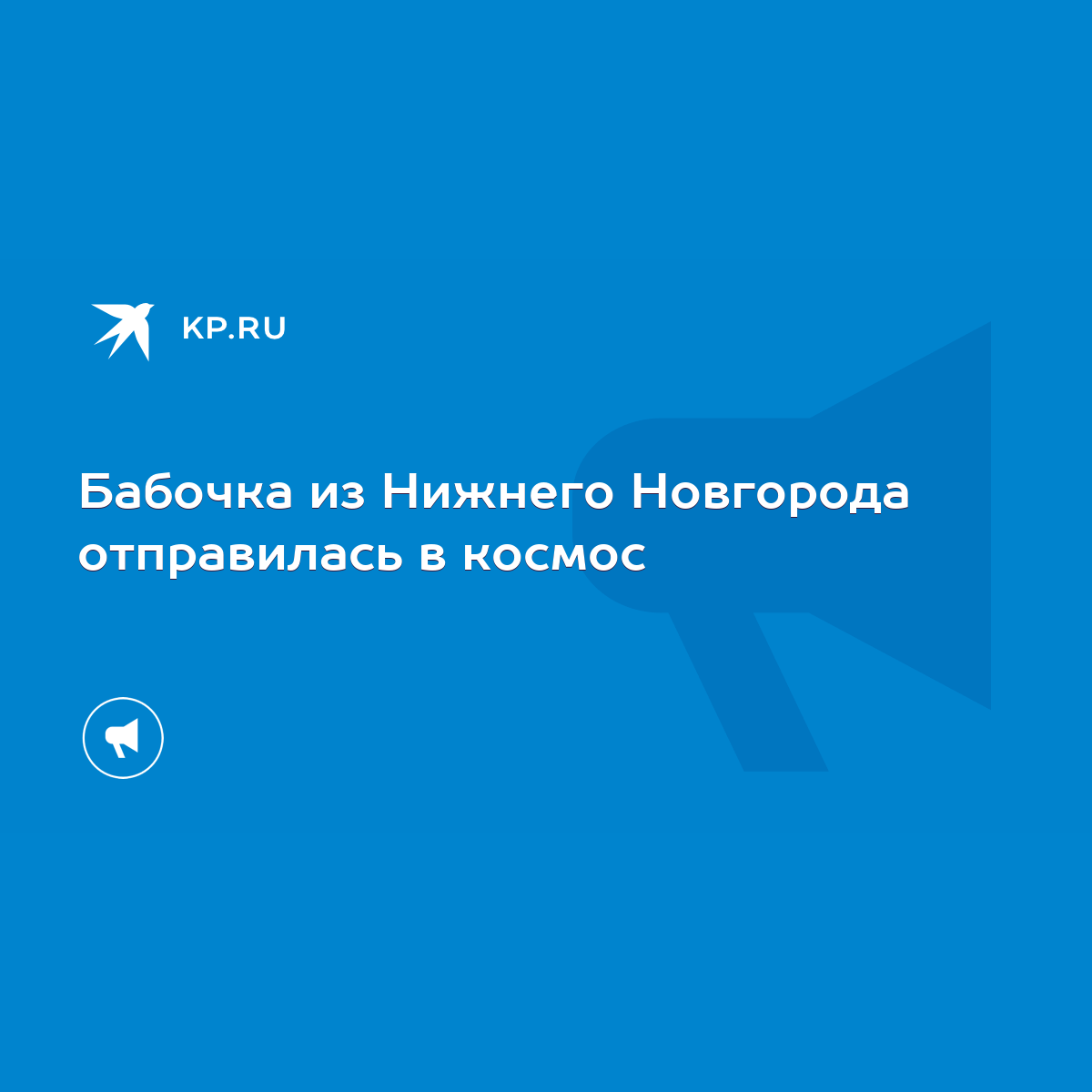 Бабочка из Нижнего Новгорода отправилась в космос - KP.RU