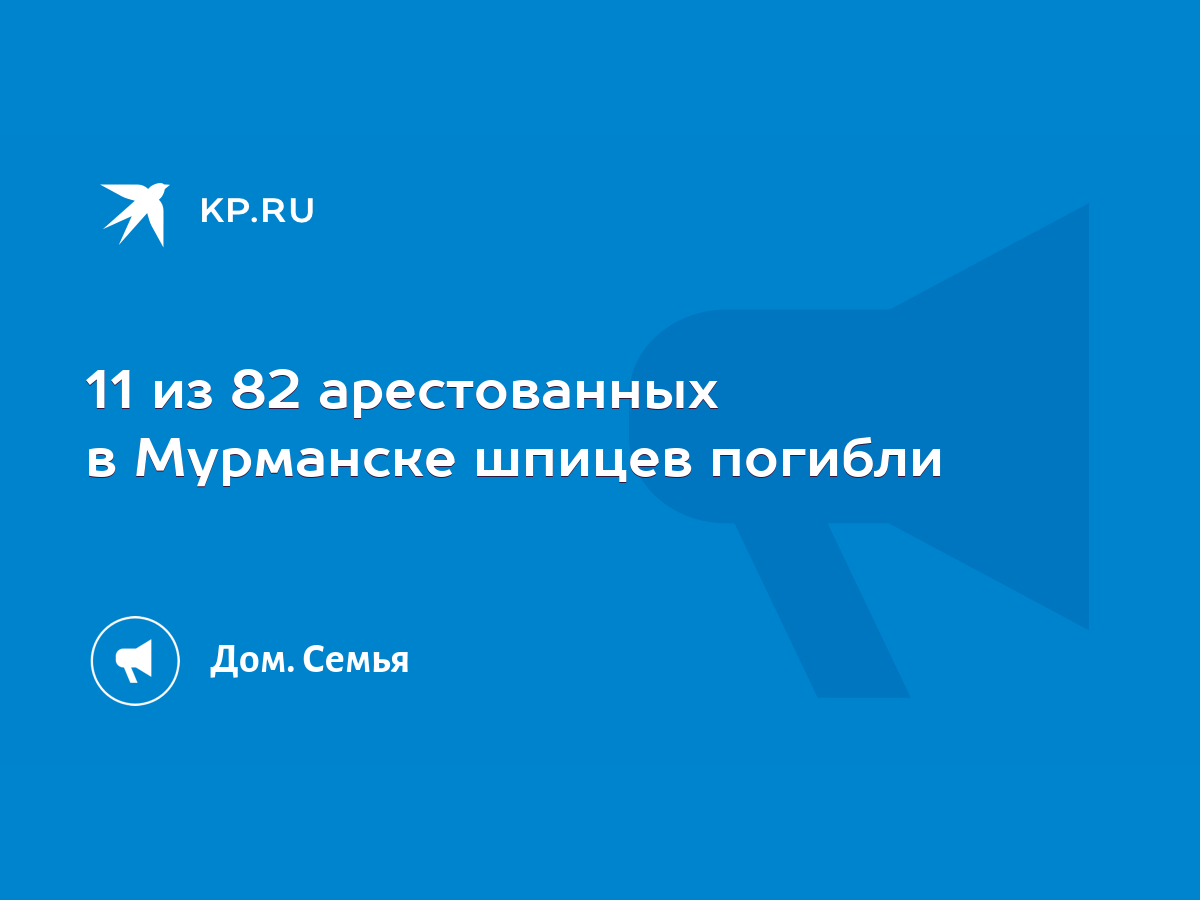 11 из 82 арестованных в Мурманске шпицев погибли - KP.RU