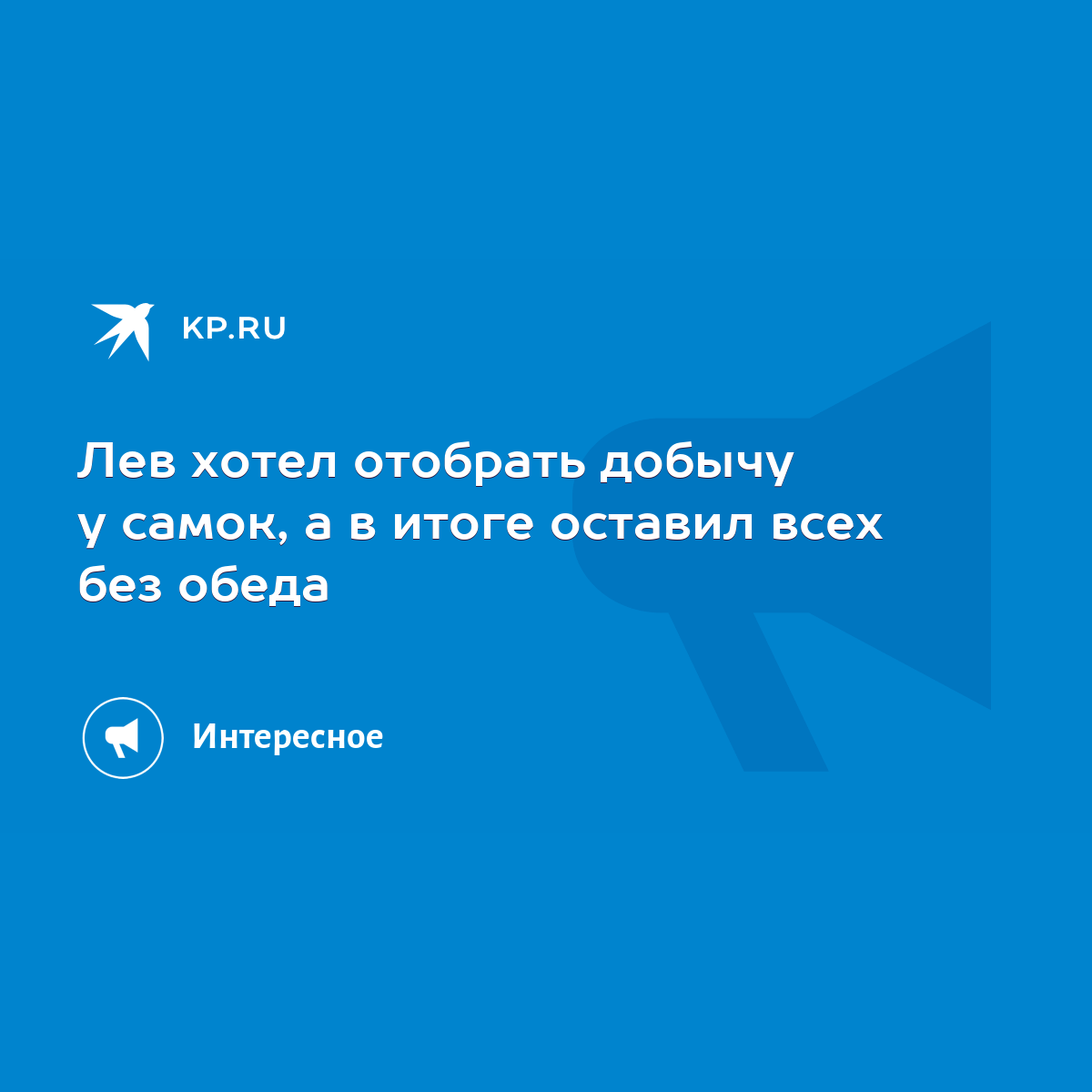 Лев хотел отобрать добычу у самок, а в итоге оставил всех без обеда - KP.RU