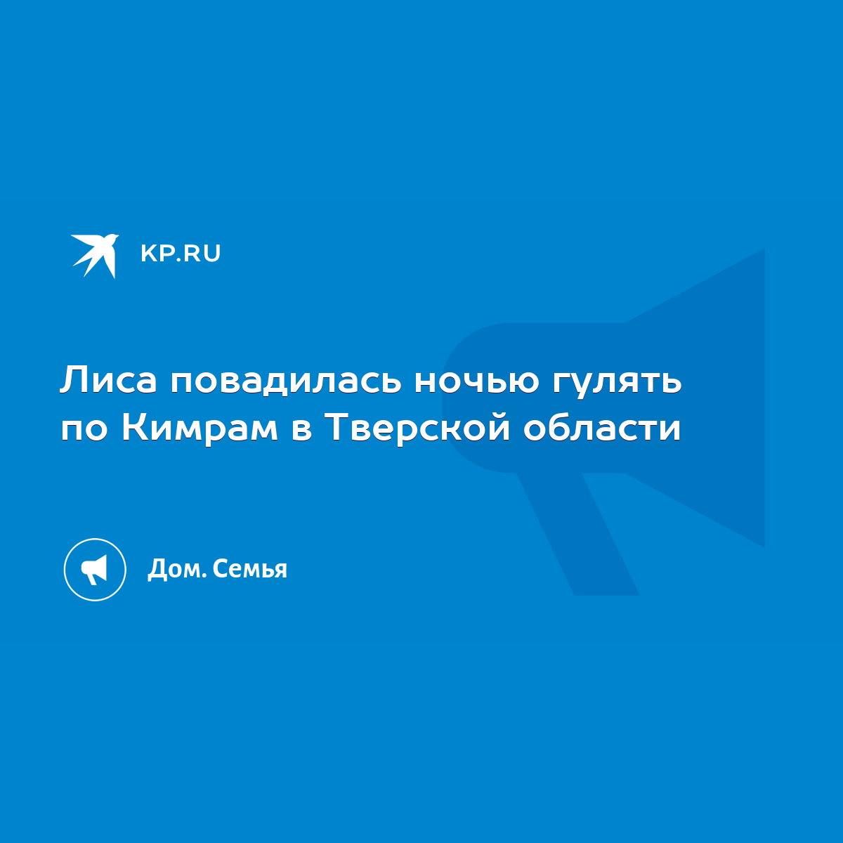 Лиса повадилась ночью гулять по Кимрам в Тверской области - KP.RU