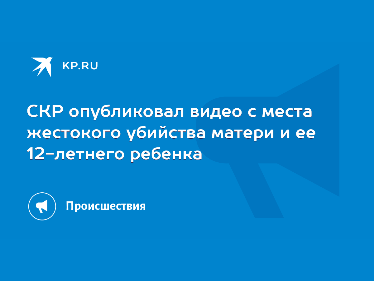 СКР опубликовал видео с места жестокого убийства матери и ее 12-летнего  ребенка - KP.RU