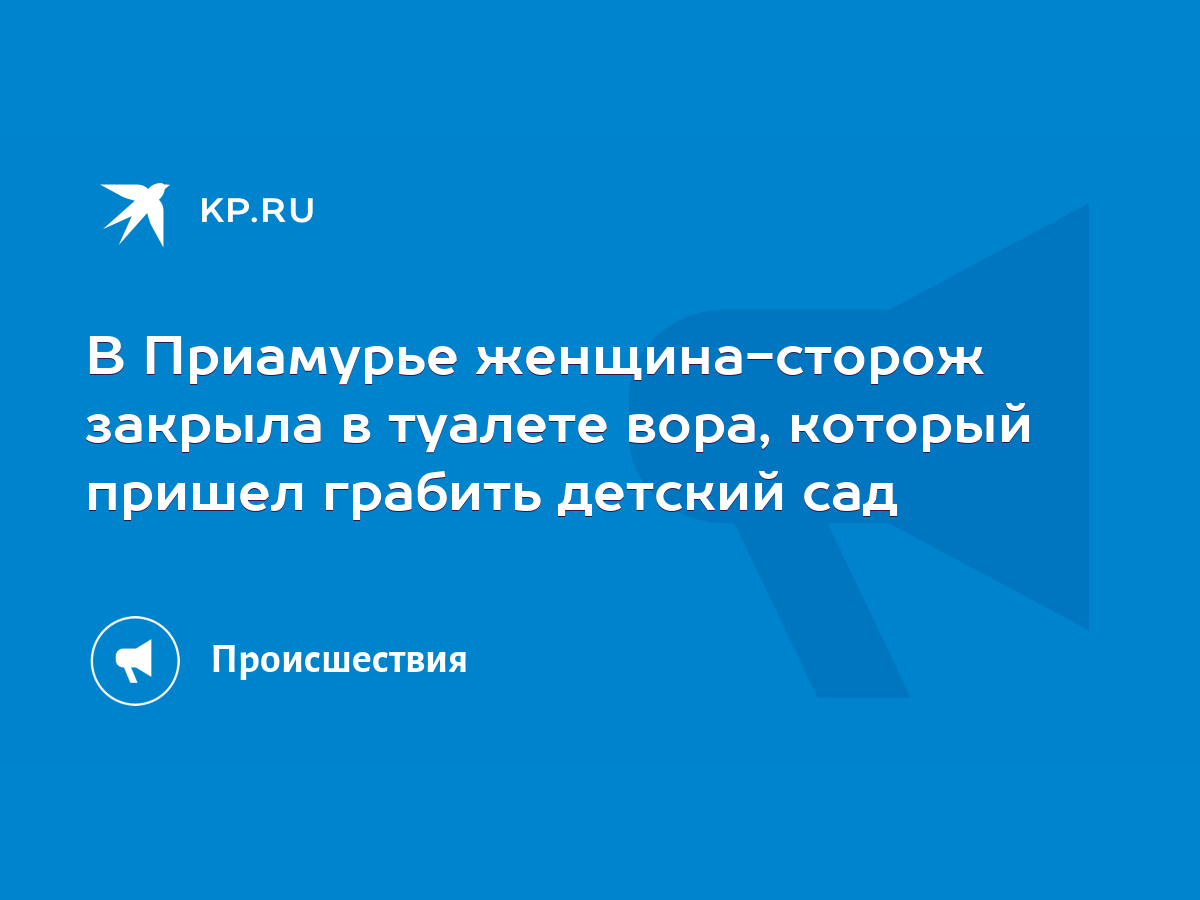 В Приамурье женщина-сторож закрыла в туалете вора, который пришел грабить  детский сад - KP.RU