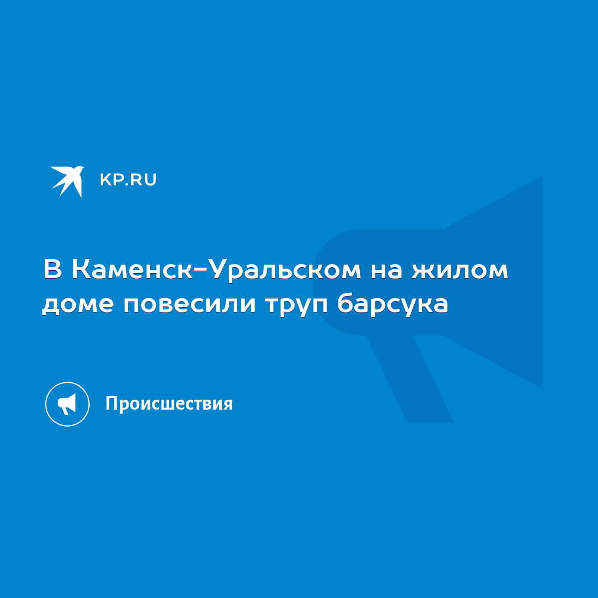 В Каменск-Уральском на жилом доме повесили труп барсука - KP.RU