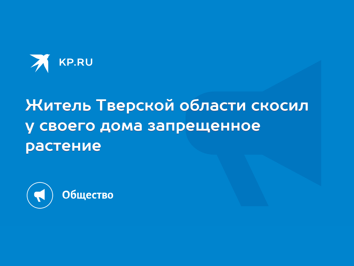 Житель Тверской области скосил у своего дома запрещенное растение - KP.RU