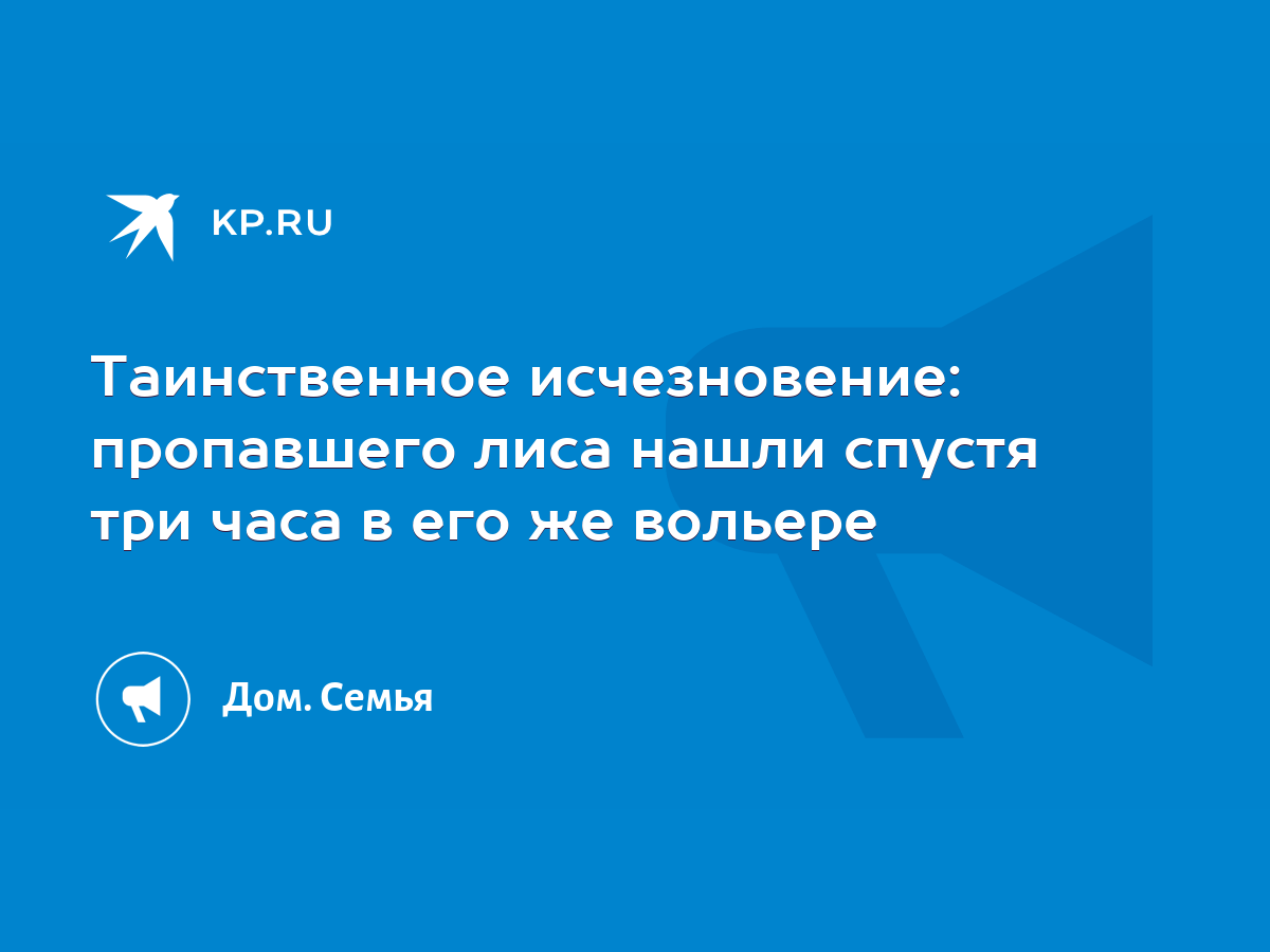 Таинственное исчезновение: пропавшего лиса нашли спустя три часа в его же  вольере - KP.RU