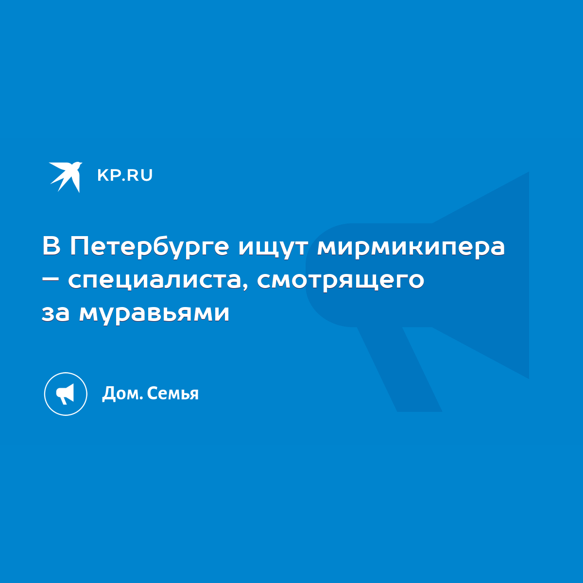 В Петербурге ищут мирмикипера – специалиста, смотрящего за муравьями - KP.RU