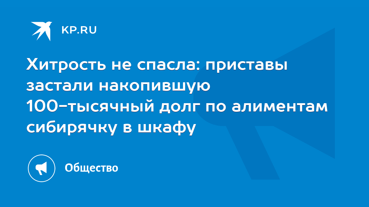 Хитрость не спасла: приставы застали накопившую 100-тысячный долг по  алиментам сибирячку в шкафу - KP.RU