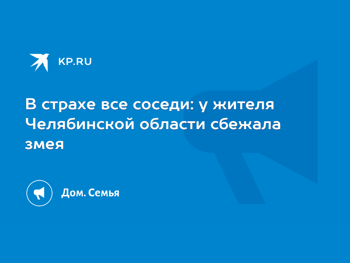 В страхе все соседи: у жителя Челябинской области сбежала змея - KP.RU