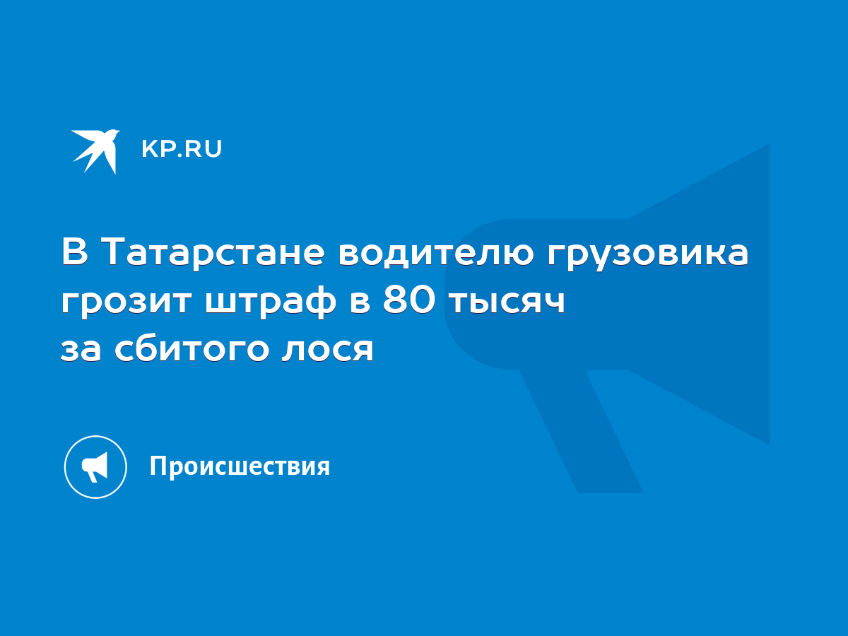 В Татарстане водителю грузовика грозит штраф в 80 тысяч за сбитого лося -  KP.RU