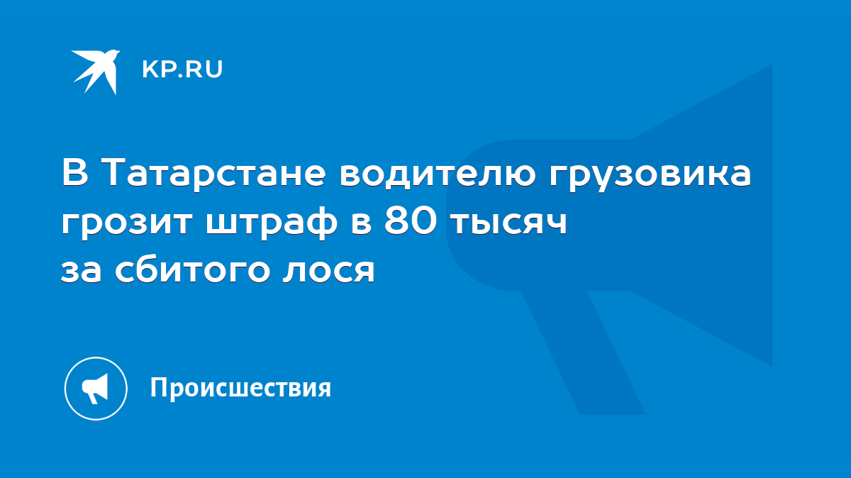 В Татарстане водителю грузовика грозит штраф в 80 тысяч за сбитого лося -  KP.RU