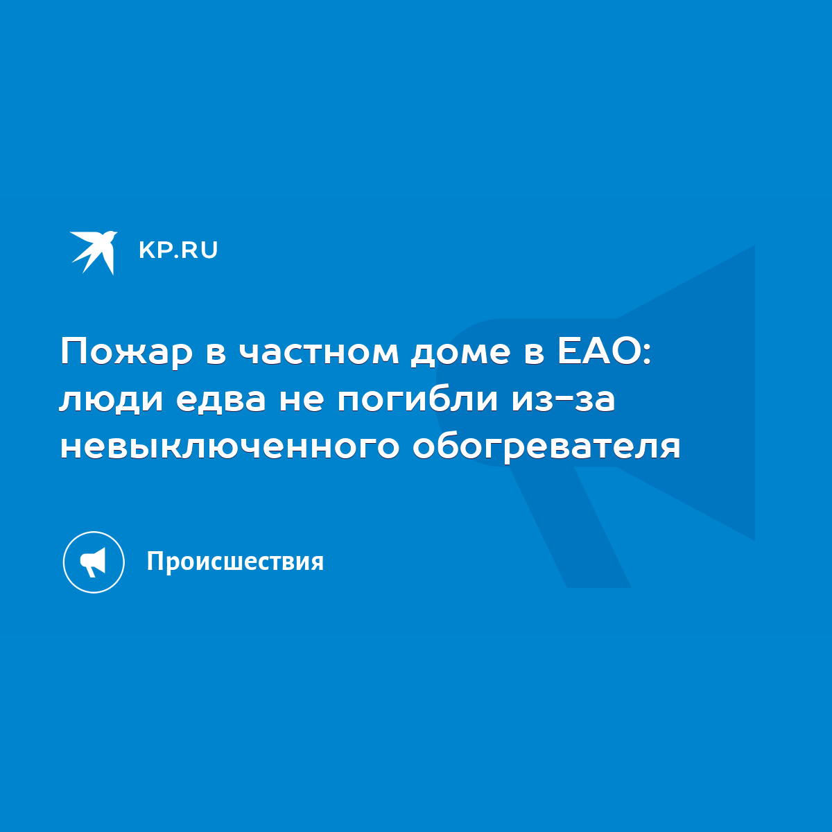 Пожар в частном доме в ЕАО: люди едва не погибли из-за невыключенного  обогревателя - KP.RU