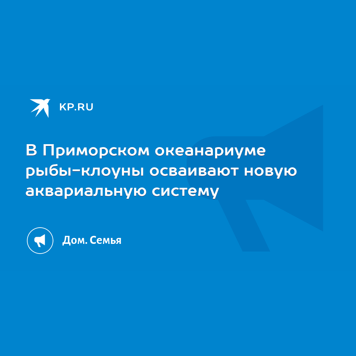 В Приморском океанариуме рыбы-клоуны осваивают новую аквариальную систему -  KP.RU