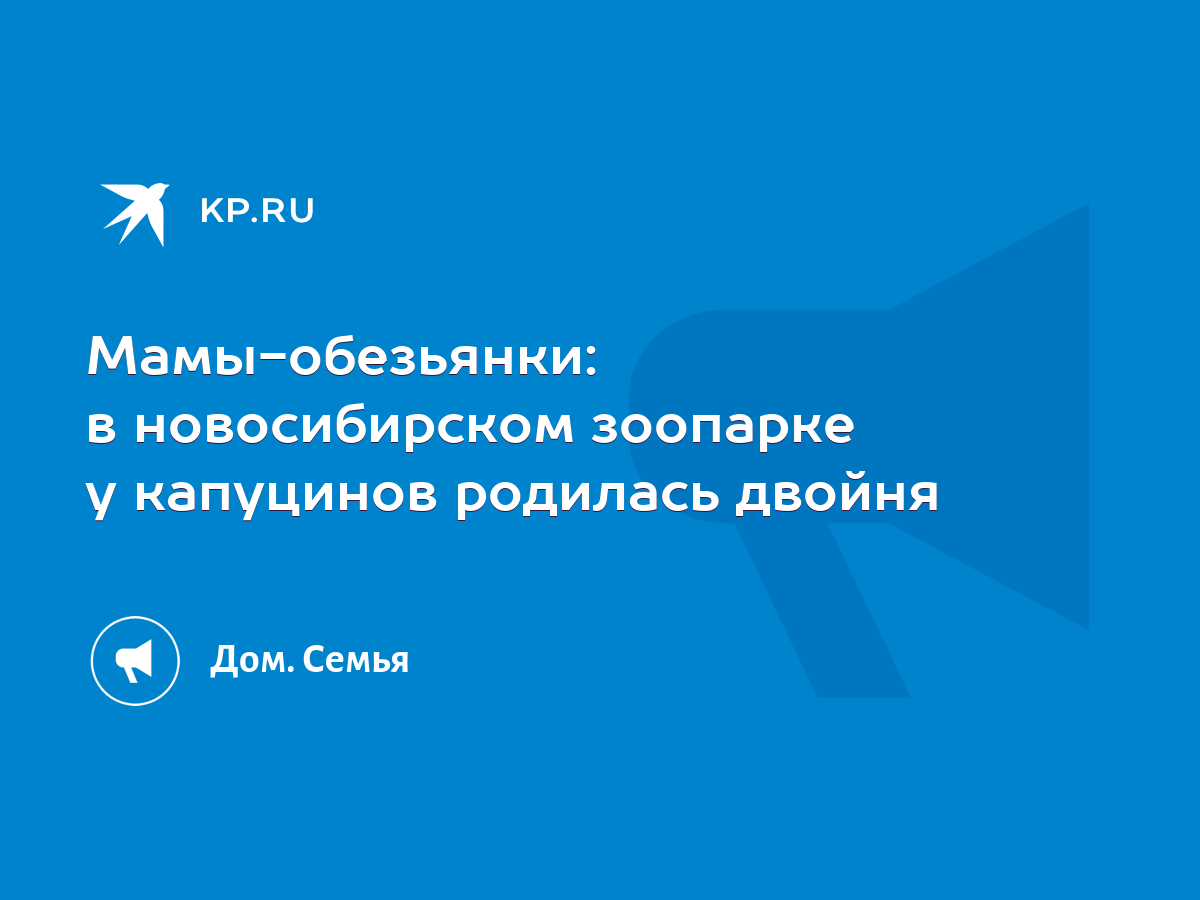 Мамы-обезьянки: в новосибирском зоопарке у капуцинов родилась двойня - KP.RU