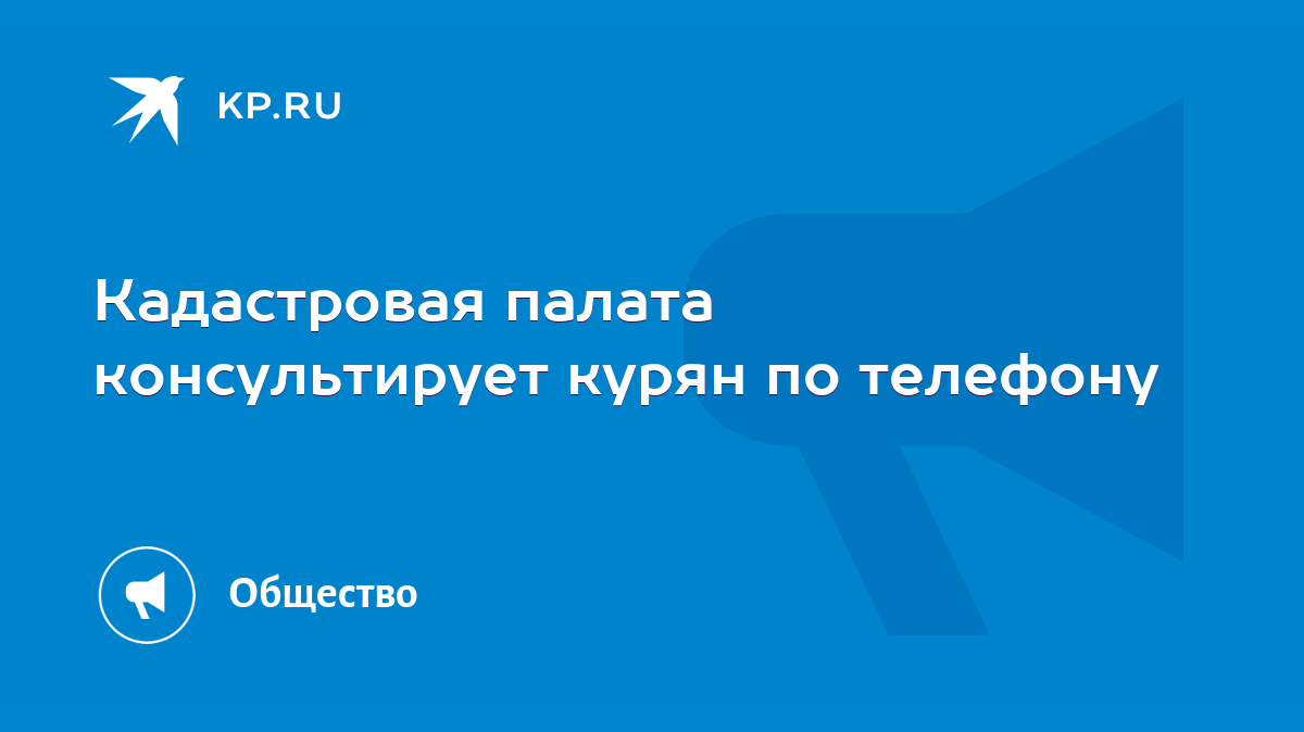 Кадастровая палата консультирует курян по телефону - KP.RU