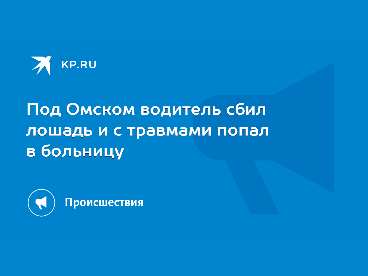 Под Омском водитель сбил лошадь и с травмами попал в больницу - KP.RU