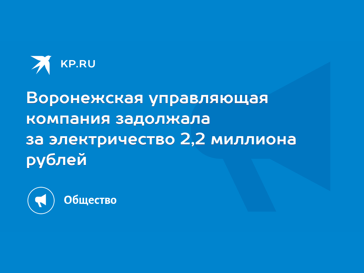 Воронежская управляющая компания задолжала за электричество 2,2 миллиона  рублей - KP.RU