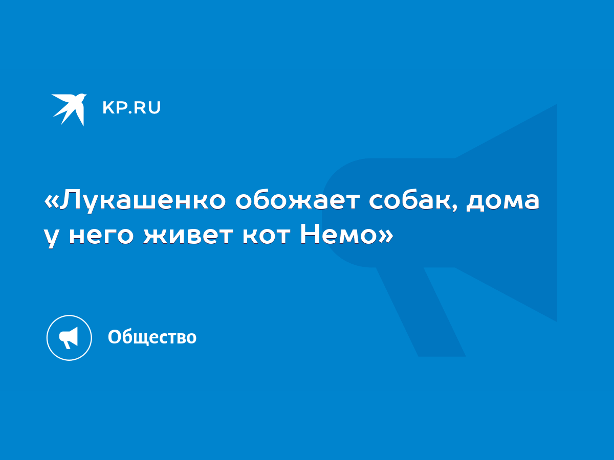 Лукашенко обожает собак, дома у него живет кот Немо» - KP.RU