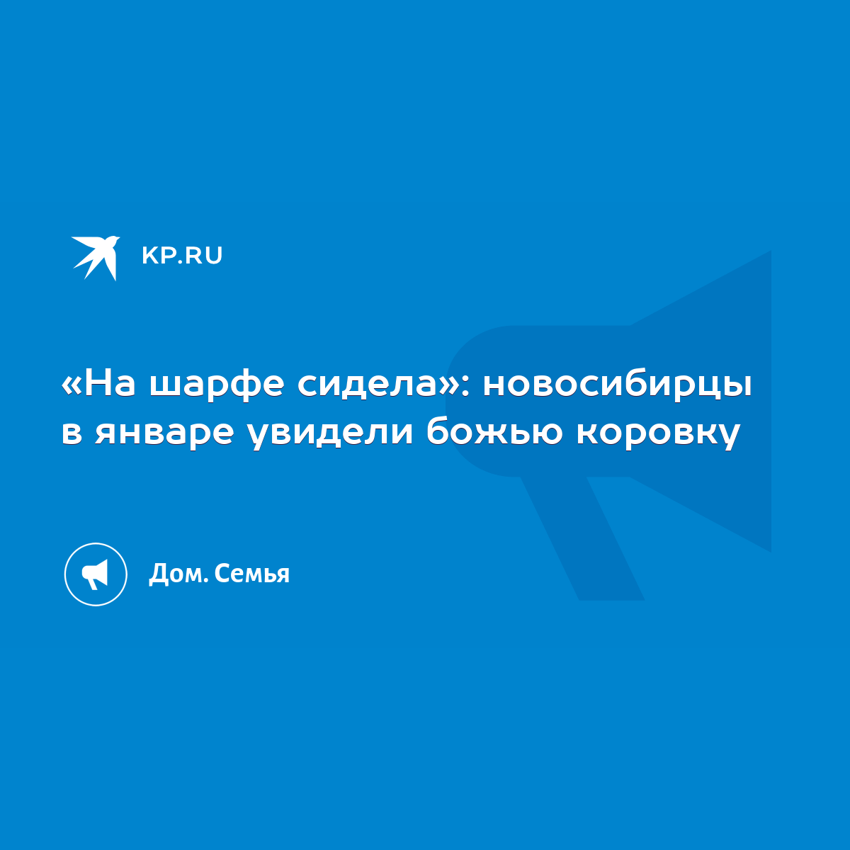 На шарфе сидела»: новосибирцы в январе увидели божью коровку - KP.RU