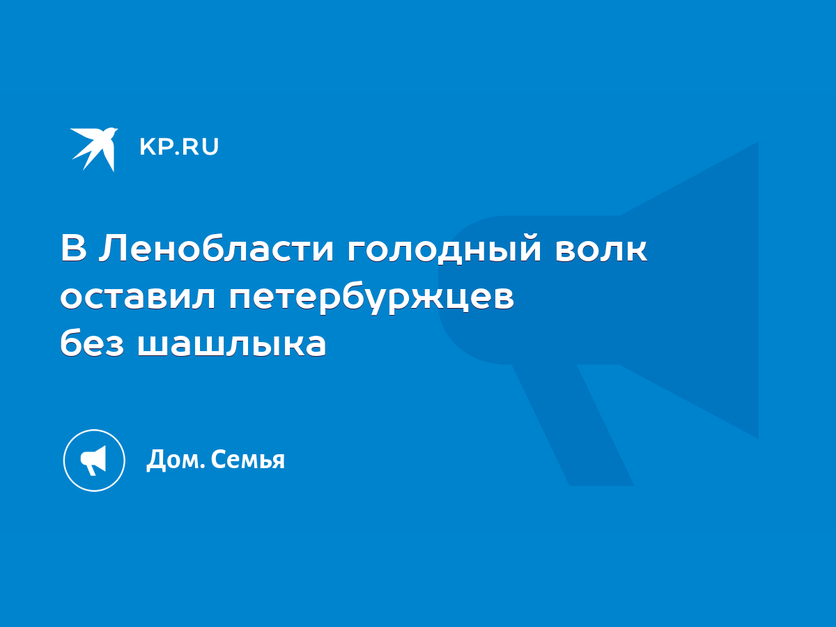 В Ленобласти голодный волк оставил петербуржцев без шашлыка - KP.RU