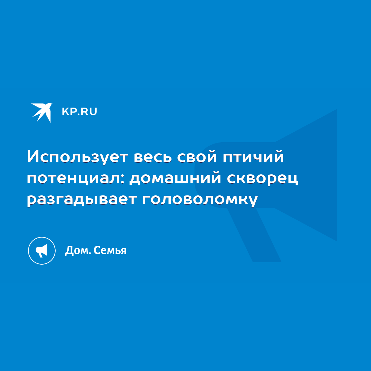 Использует весь свой птичий потенциал: домашний скворец разгадывает  головоломку - KP.RU