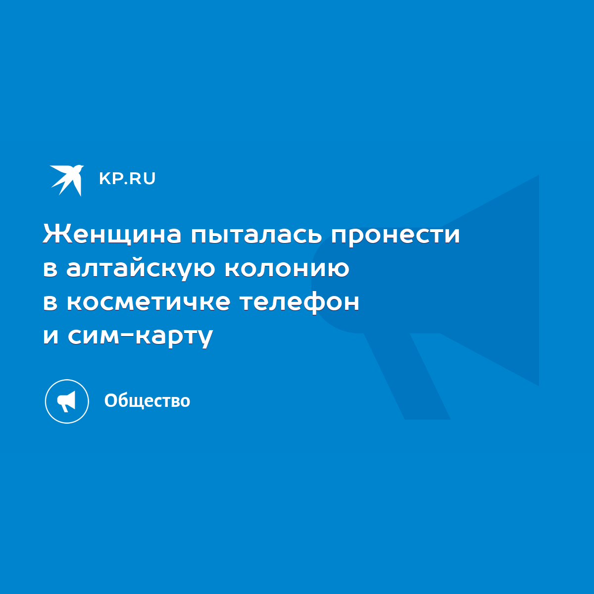 Женщина пыталась пронести в алтайскую колонию в косметичке телефон и  сим-карту - KP.RU