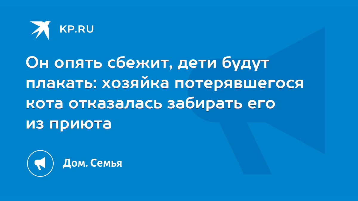 Он опять сбежит, дети будут плакать: хозяйка потерявшегося кота отказалась  забирать его из приюта - KP.RU