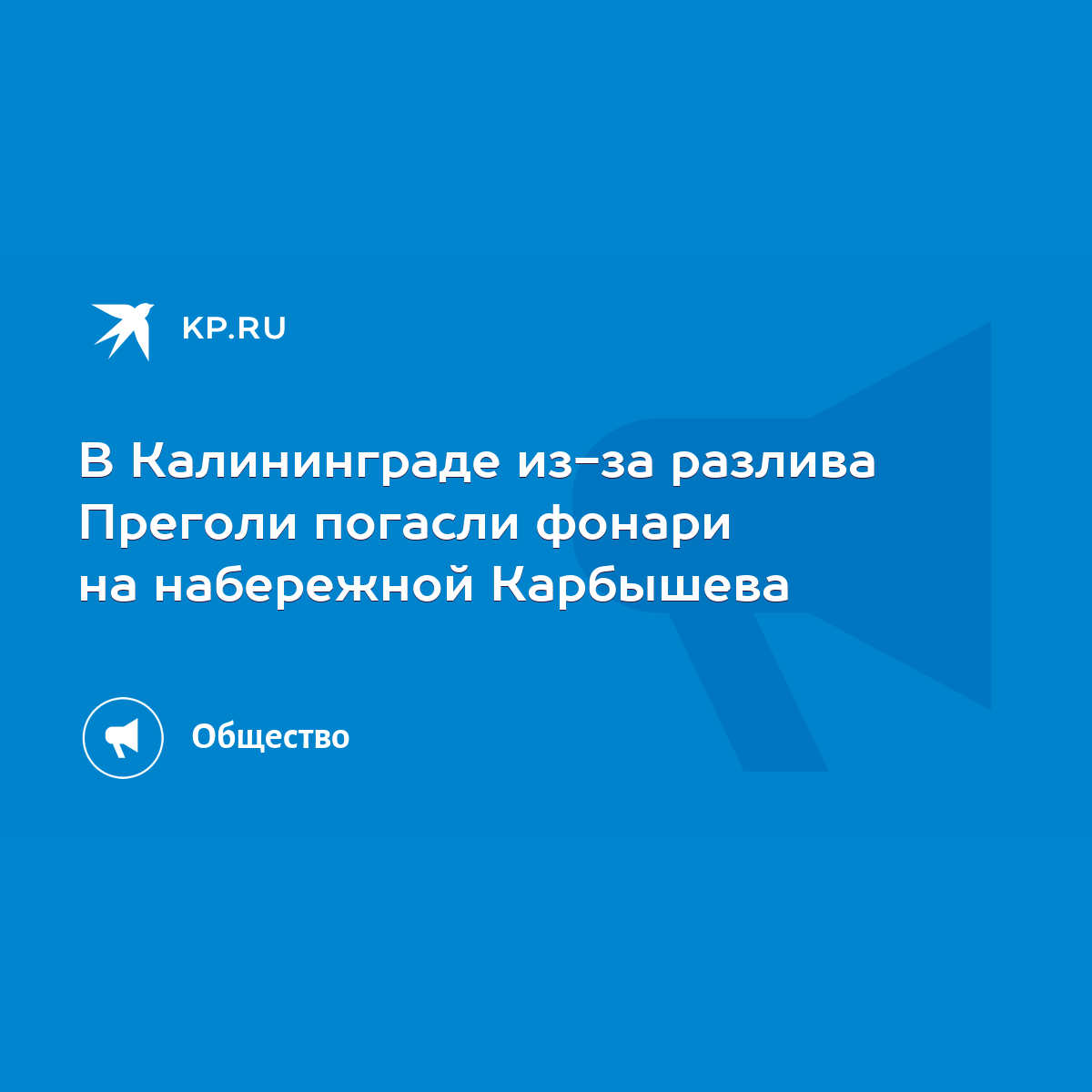 В Калининграде из-за разлива Преголи погасли фонари на набережной Карбышева  - KP.RU