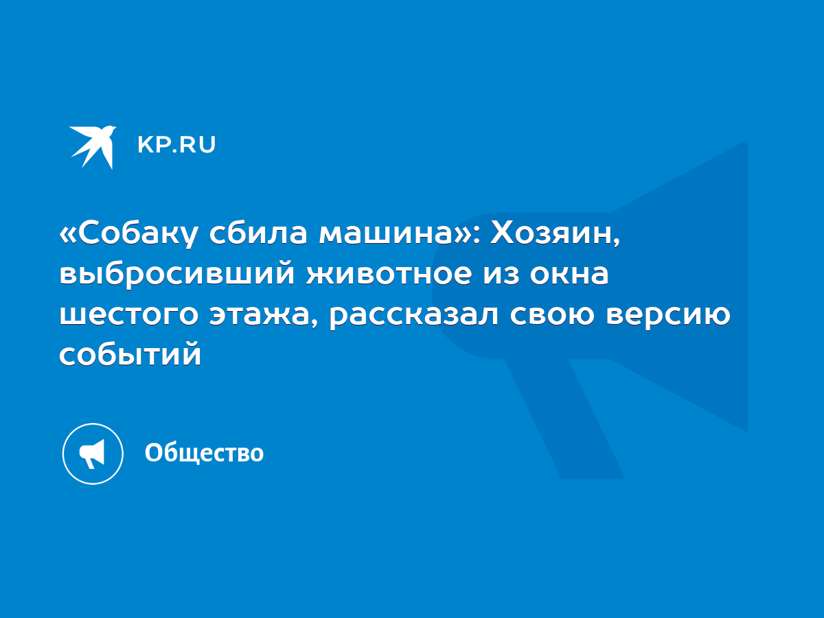 Собаку сбила машина»: Хозяин, выбросивший животное из окна шестого этажа,  рассказал свою версию событий - KP.RU