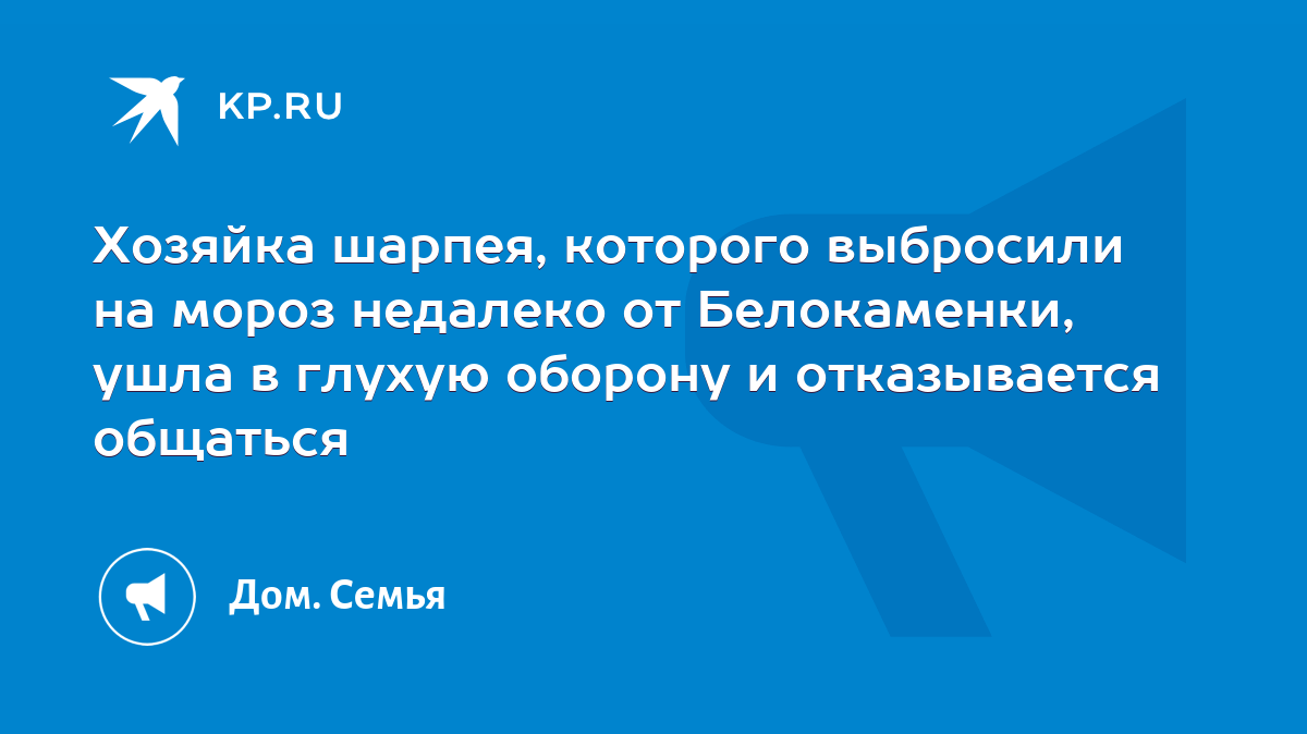 Хозяйка шарпея, которого выбросили на мороз недалеко от Белокаменки, ушла в  глухую оборону и отказывается общаться - KP.RU