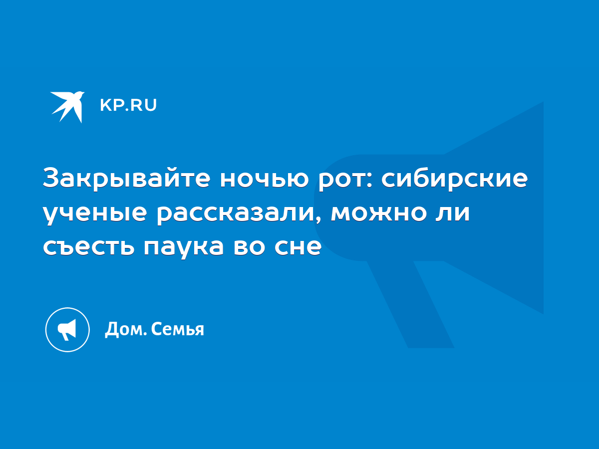 Закрывайте ночью рот: сибирские ученые рассказали, можно ли съесть паука во  сне - KP.RU