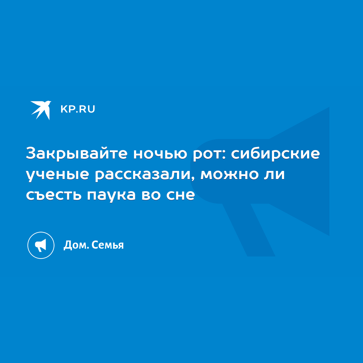 Закрывайте ночью рот: сибирские ученые рассказали, можно ли съесть паука во  сне - KP.RU