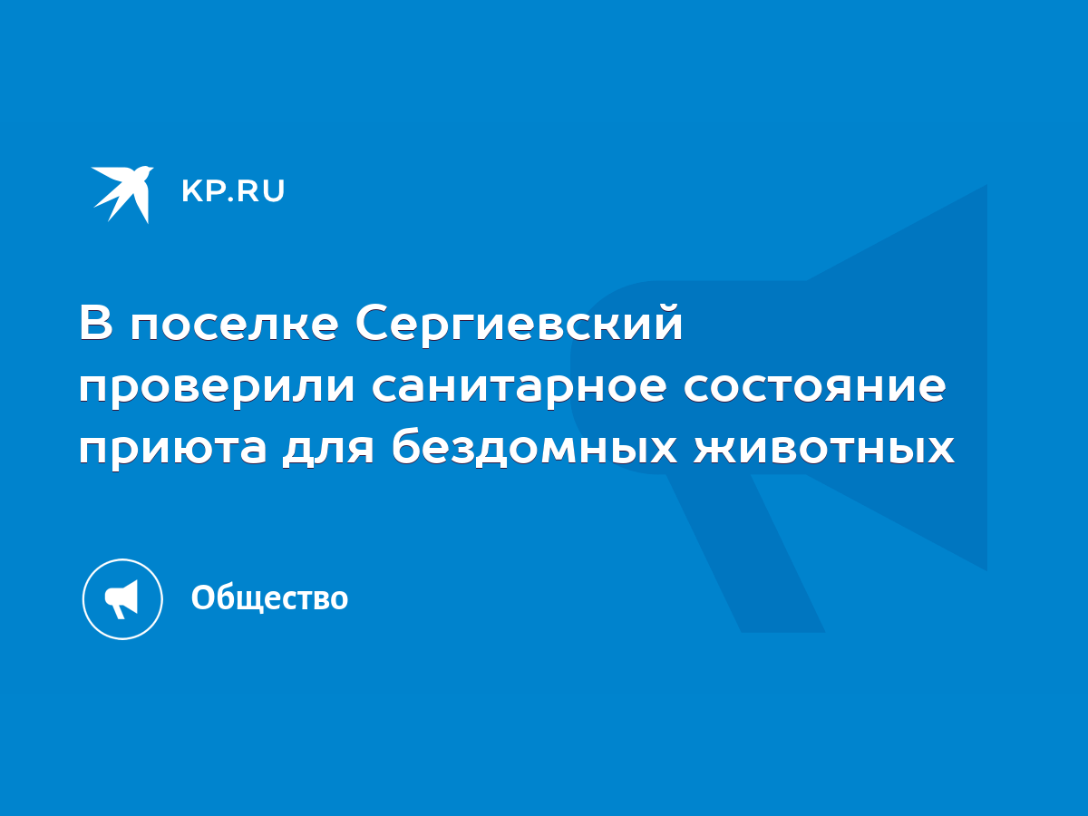 В поселке Сергиевский проверили санитарное состояние приюта для бездомных  животных - KP.RU