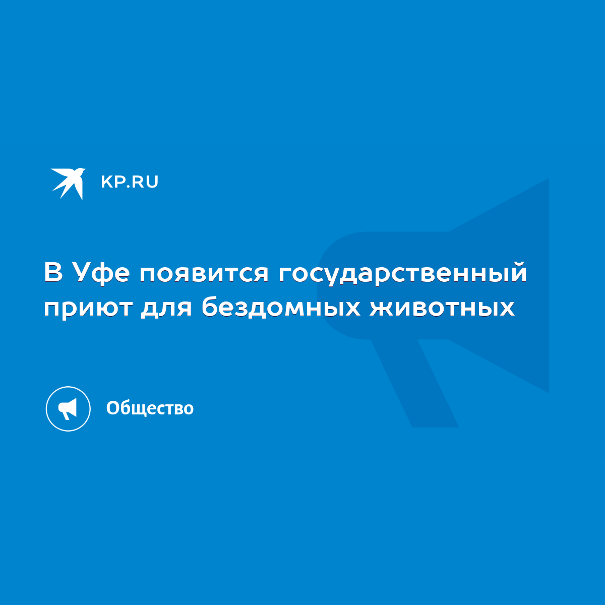 В Уфе появится государственный приют для бездомных животных - KP.RU