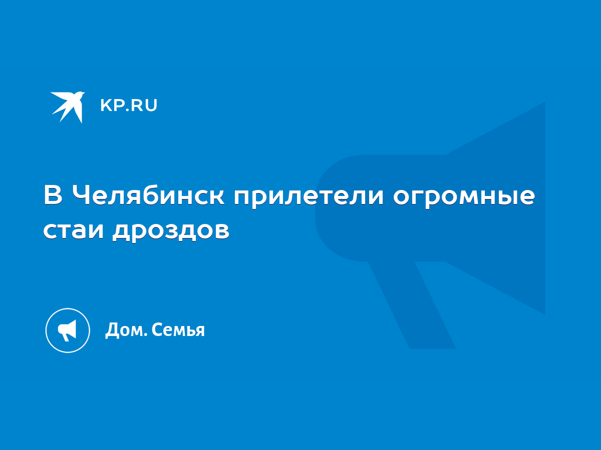 В Челябинск прилетели огромные стаи дроздов - KP.RU