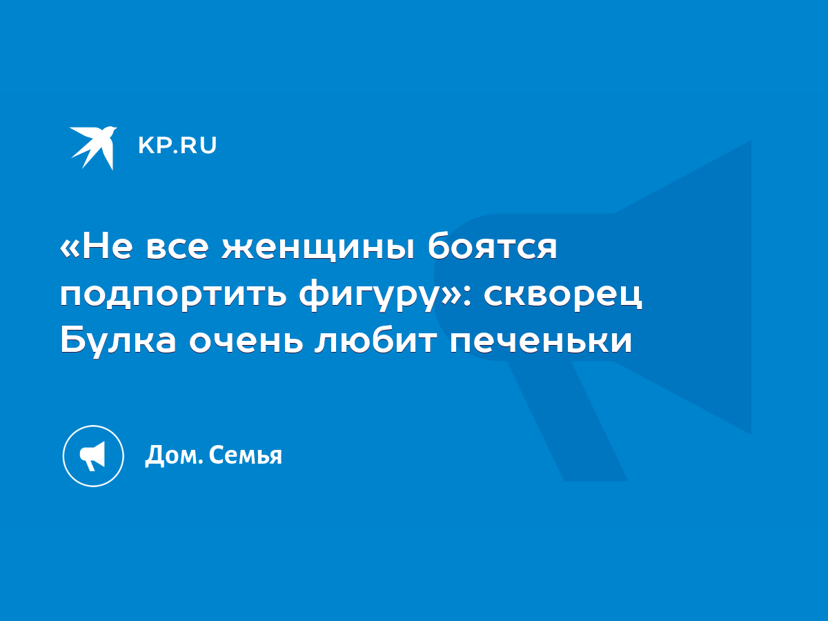 Не все женщины боятся подпортить фигуру»: скворец Булка очень любит  печеньки - KP.RU