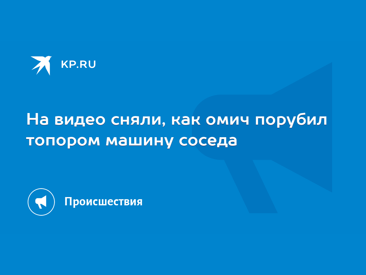 На видео сняли, как омич порубил топором машину соседа - KP.RU